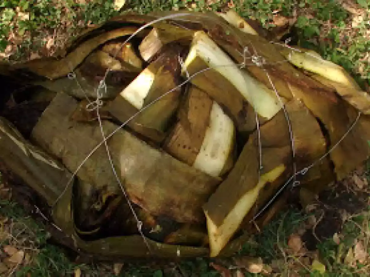 Barbacoa de Borrego en pozo con penca de maguey.