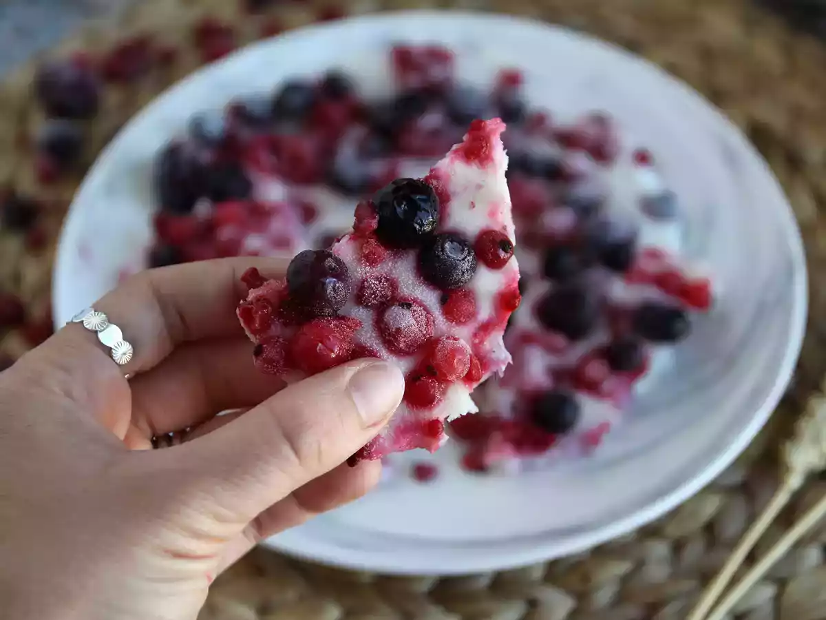 Barritas de yogur helado con frutos rojos