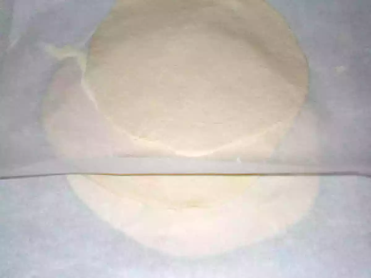 BASES DE PIZZA PRECOCINADAS CASERAS...GRACIAS, CRACKY! - foto 9