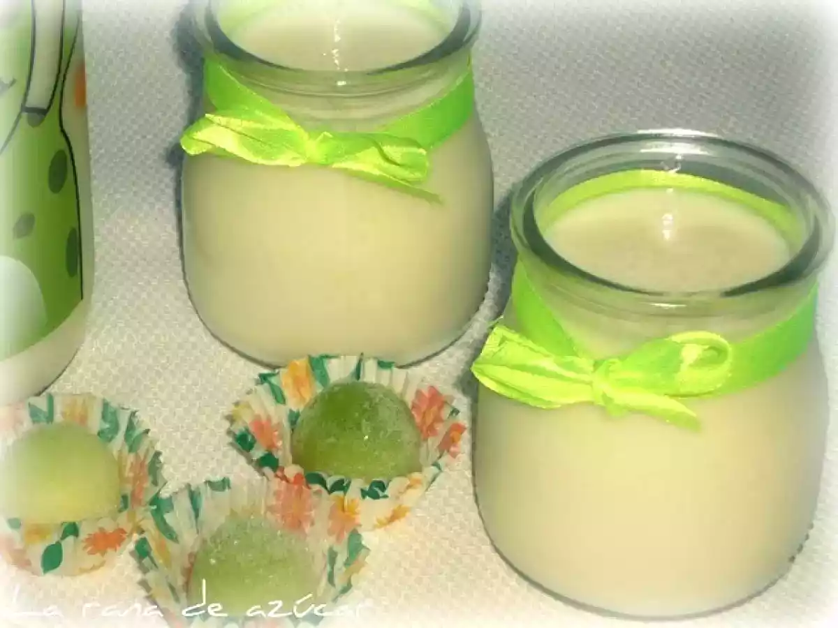 Batido de melón y yogur - foto 2