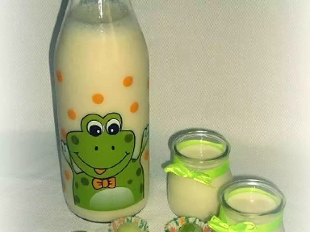 Batido de melón y yogur - foto 3