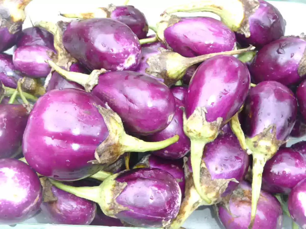 Berenjenas en escabeche - foto 7