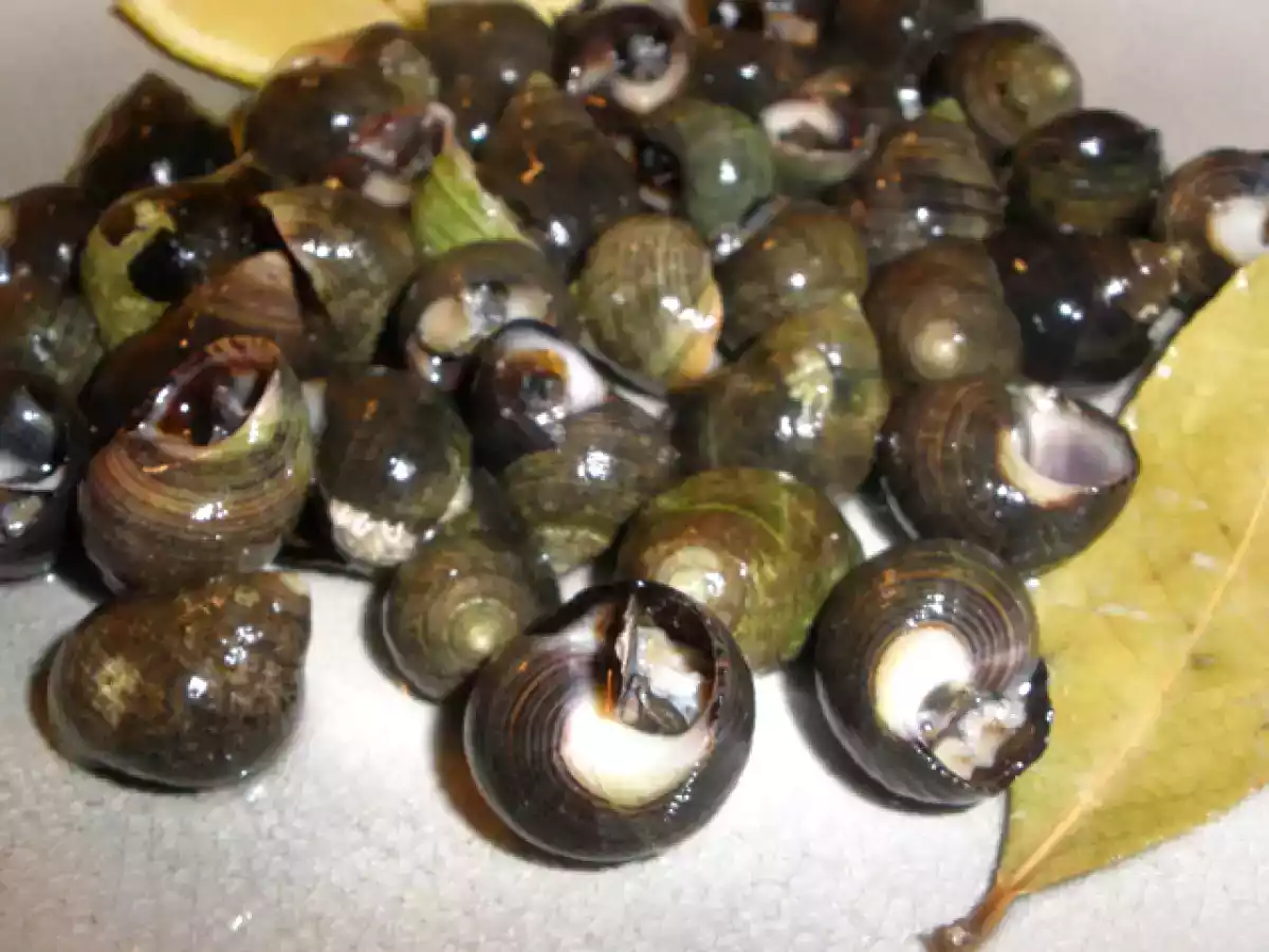 Bígaros Cocidos en su Jugo - foto 2