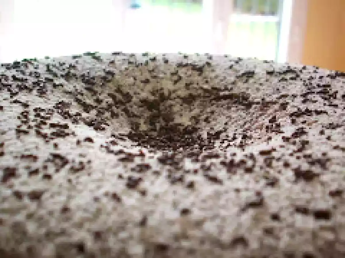 Bizcocho de chocolate en fussion cook