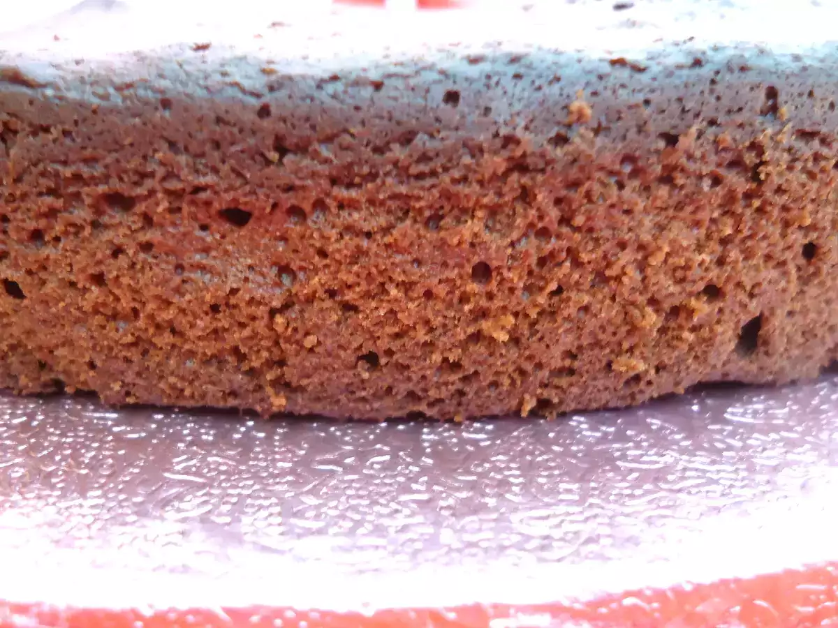 Bizcocho de chocolate (sin azúcar) - foto 3