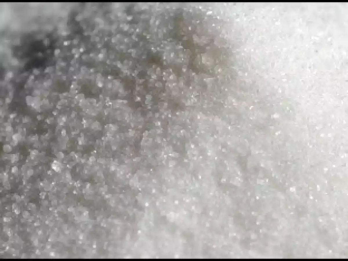 Bizcocho de nata con vainilla y limón - foto 6