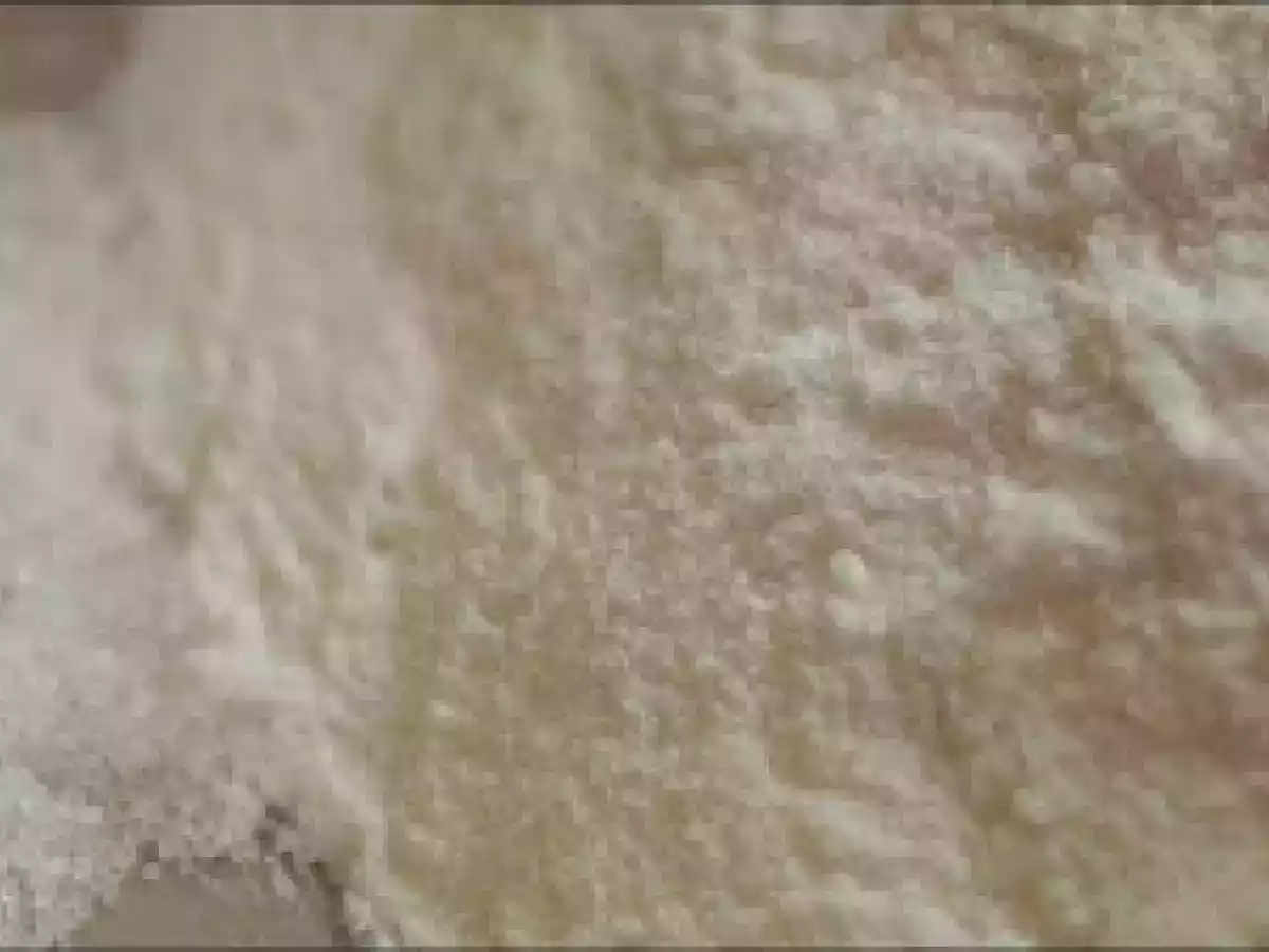 Bizcocho de nata con vainilla y limón - foto 7