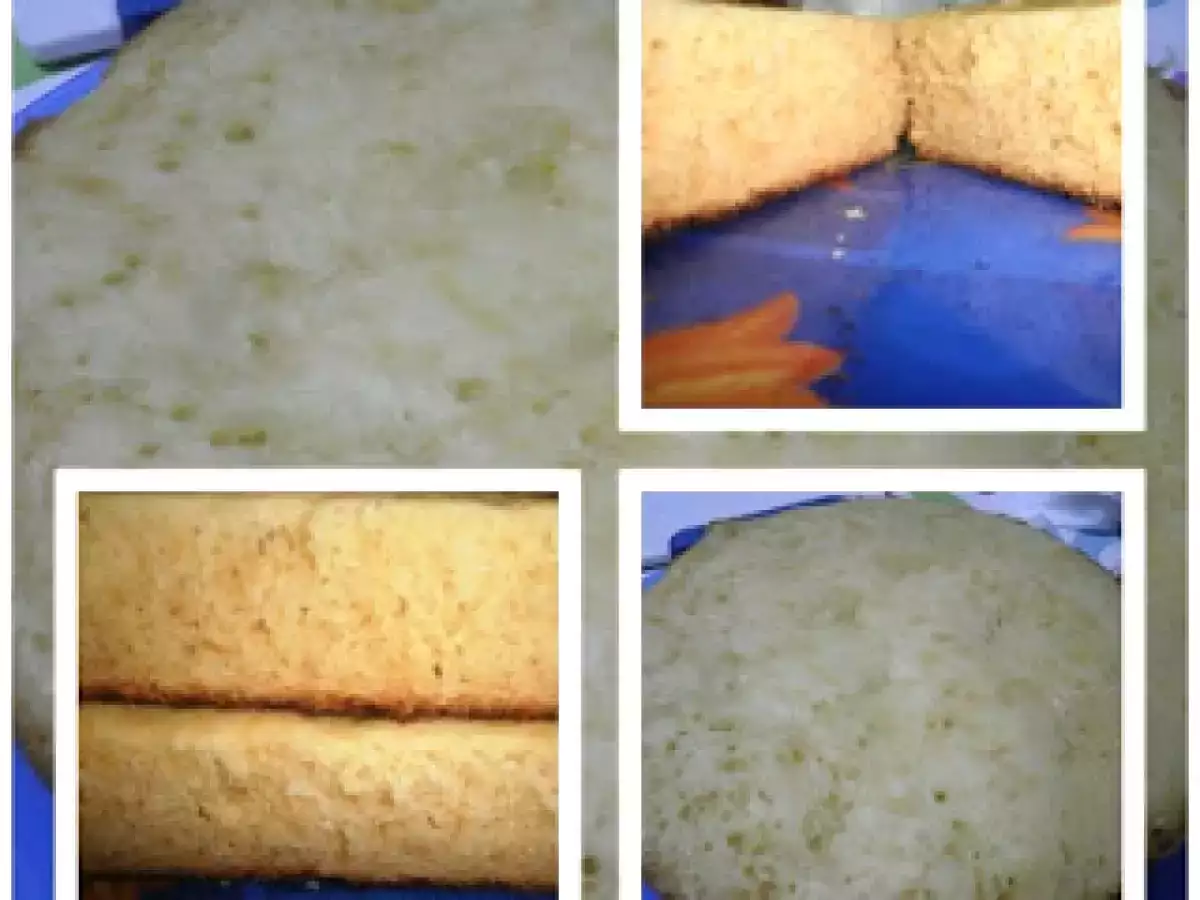 BIZCOCHO DE YOGUR GRIEGO (FUSSION COOK)