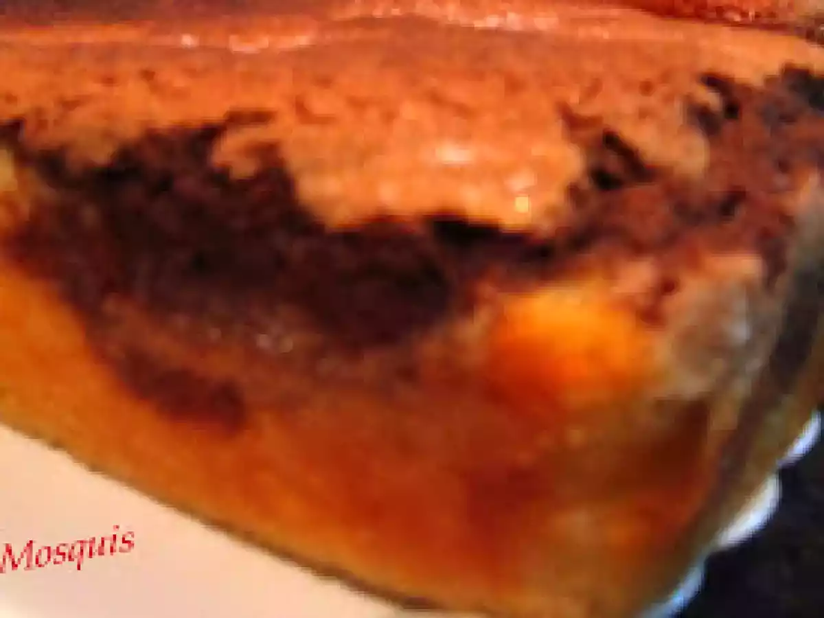 Bizcocho yogur y chocolate ( juntos pero no revueltos)