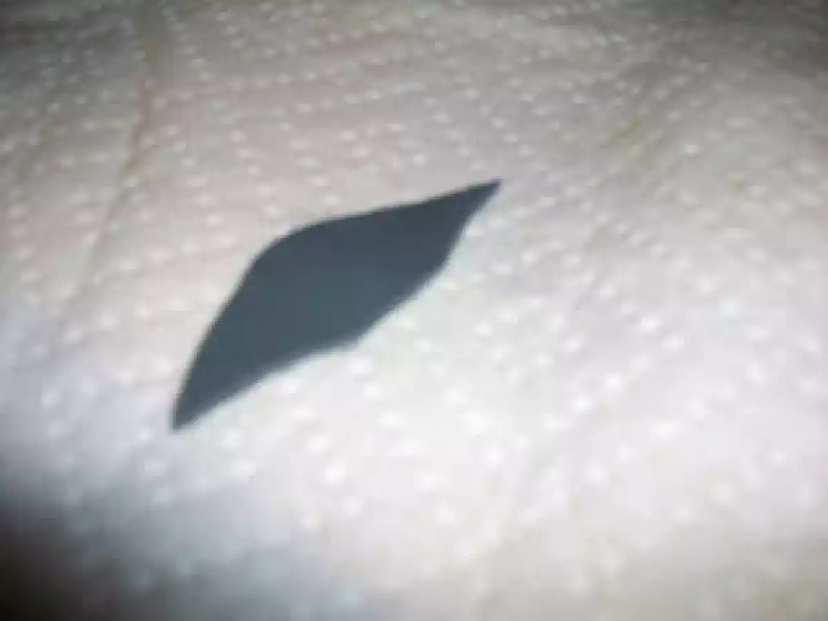 Bizcocho Zebra en pasta laminada de gelatina y decoraciones en pasta de goma. - foto 5