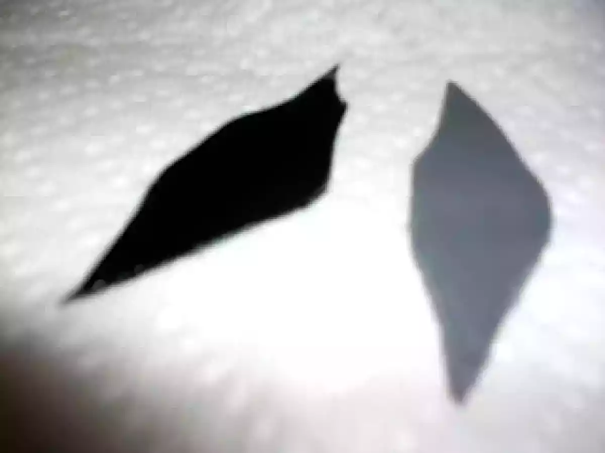 Bizcocho Zebra en pasta laminada de gelatina y decoraciones en pasta de goma. - foto 8