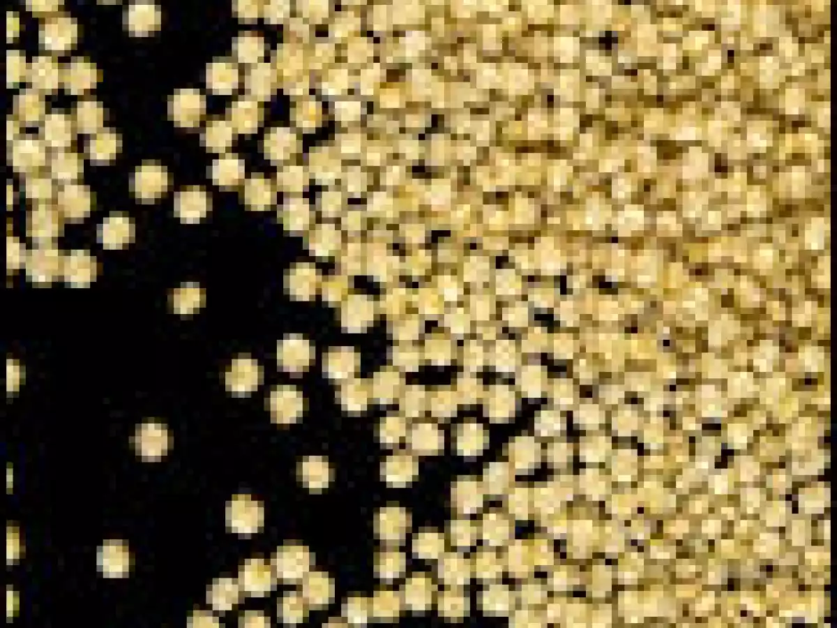 Bizcochuelo de quinua al chocolate - foto 3