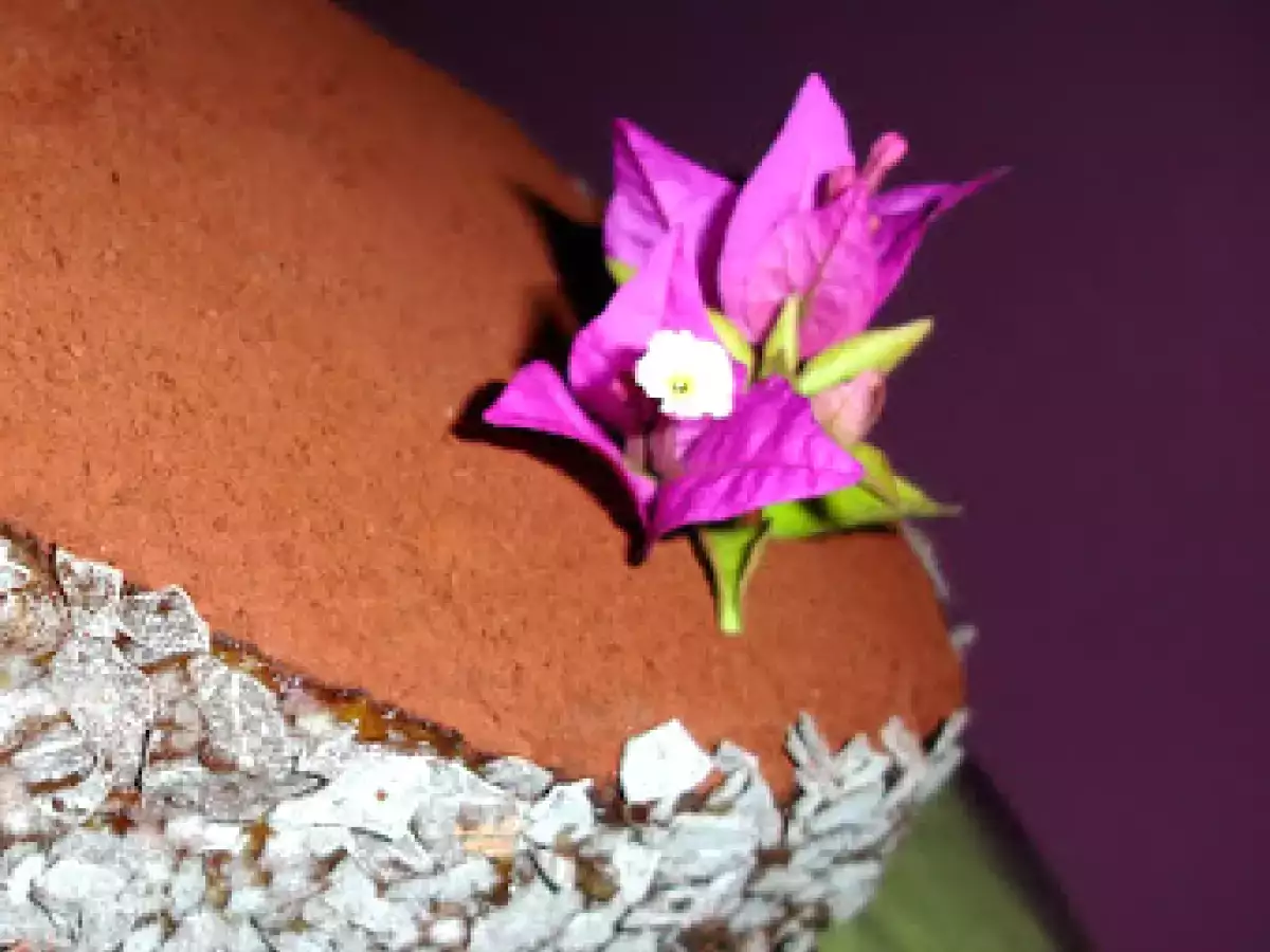 BIZCOMELOCHO ( Bizcocho con melocoton y chocolate) - foto 2