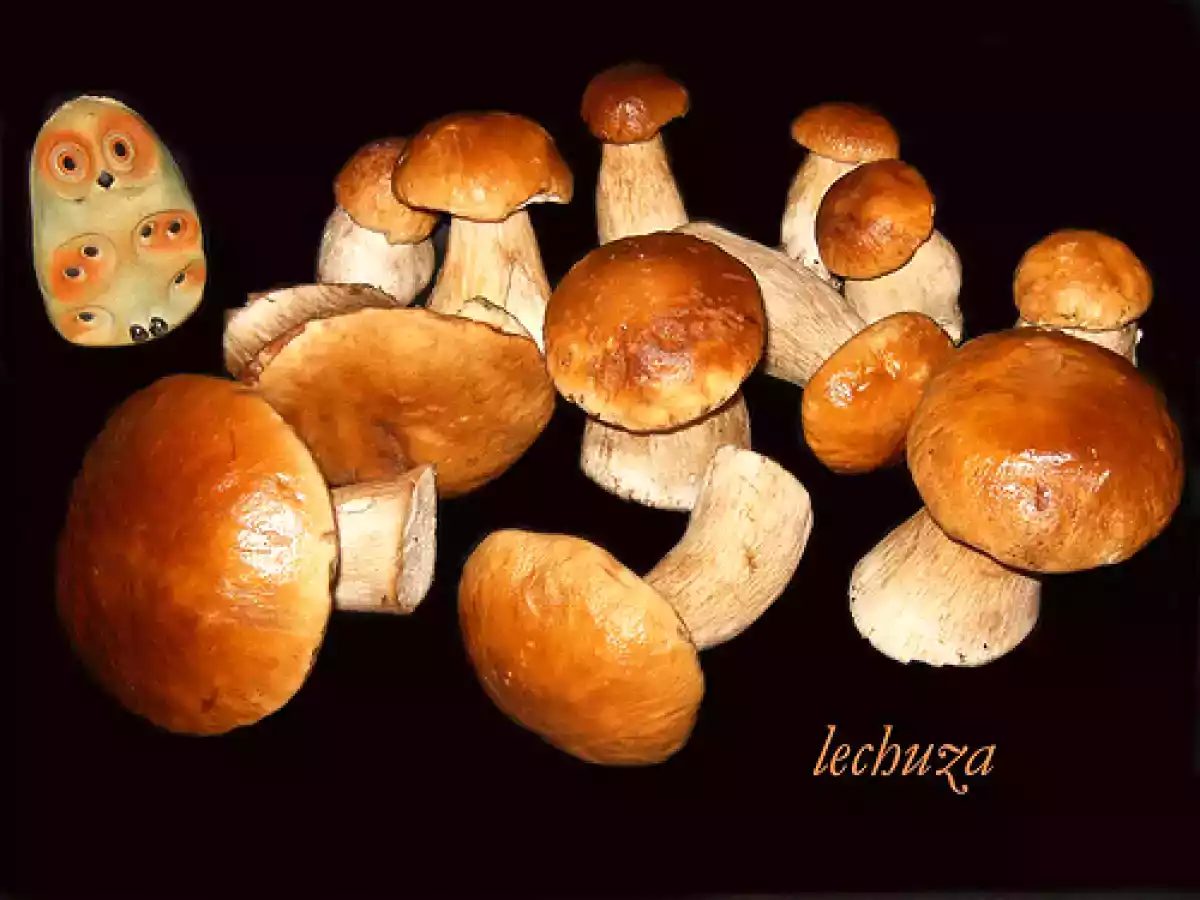 Boletus con jamón y tortilla de boletus (recetas del sr. d) - foto 13