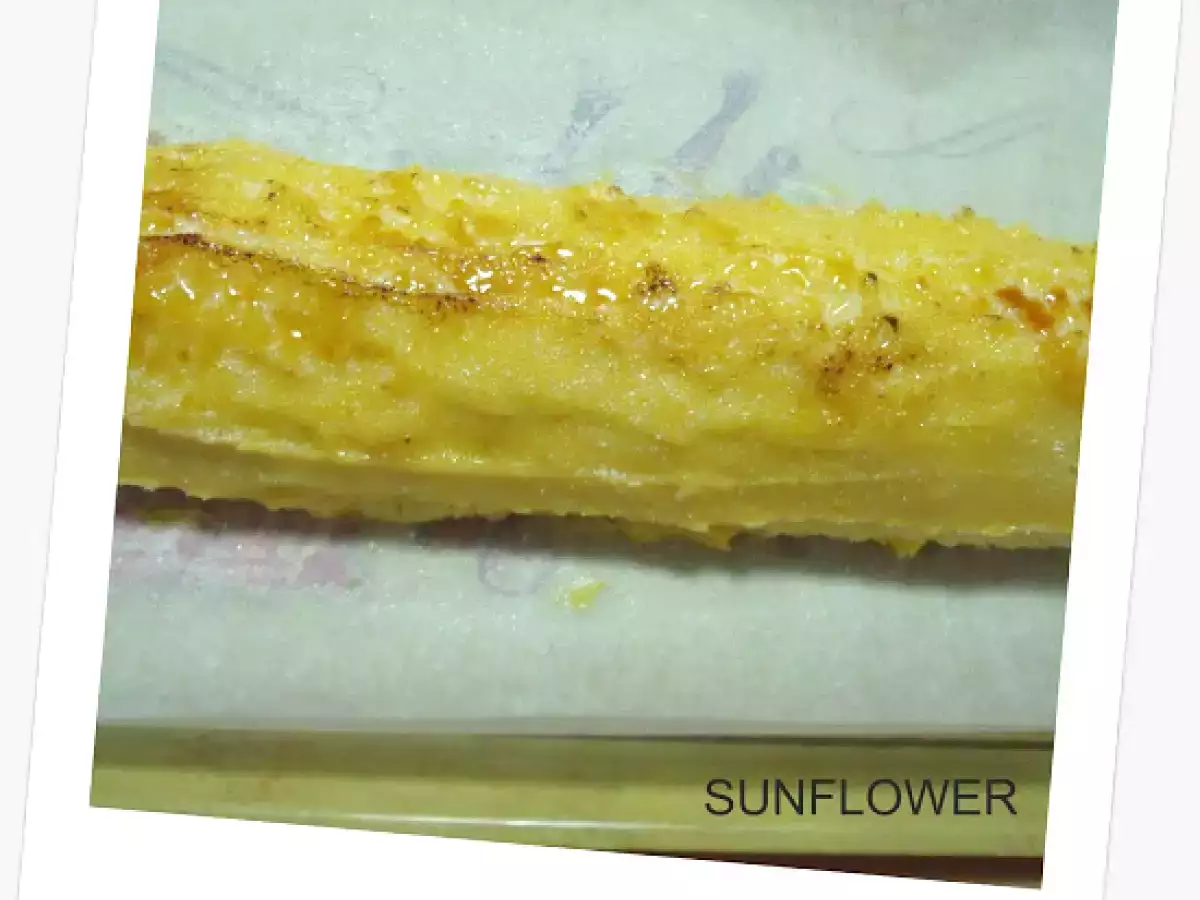 Brazo de San Marcos - foto 2