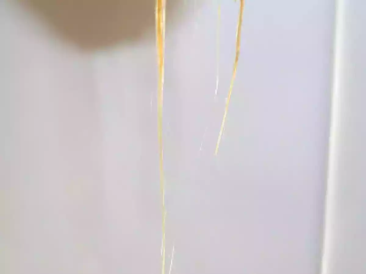 Budin -flan- budino-cake-de Savoiardi - foto 2