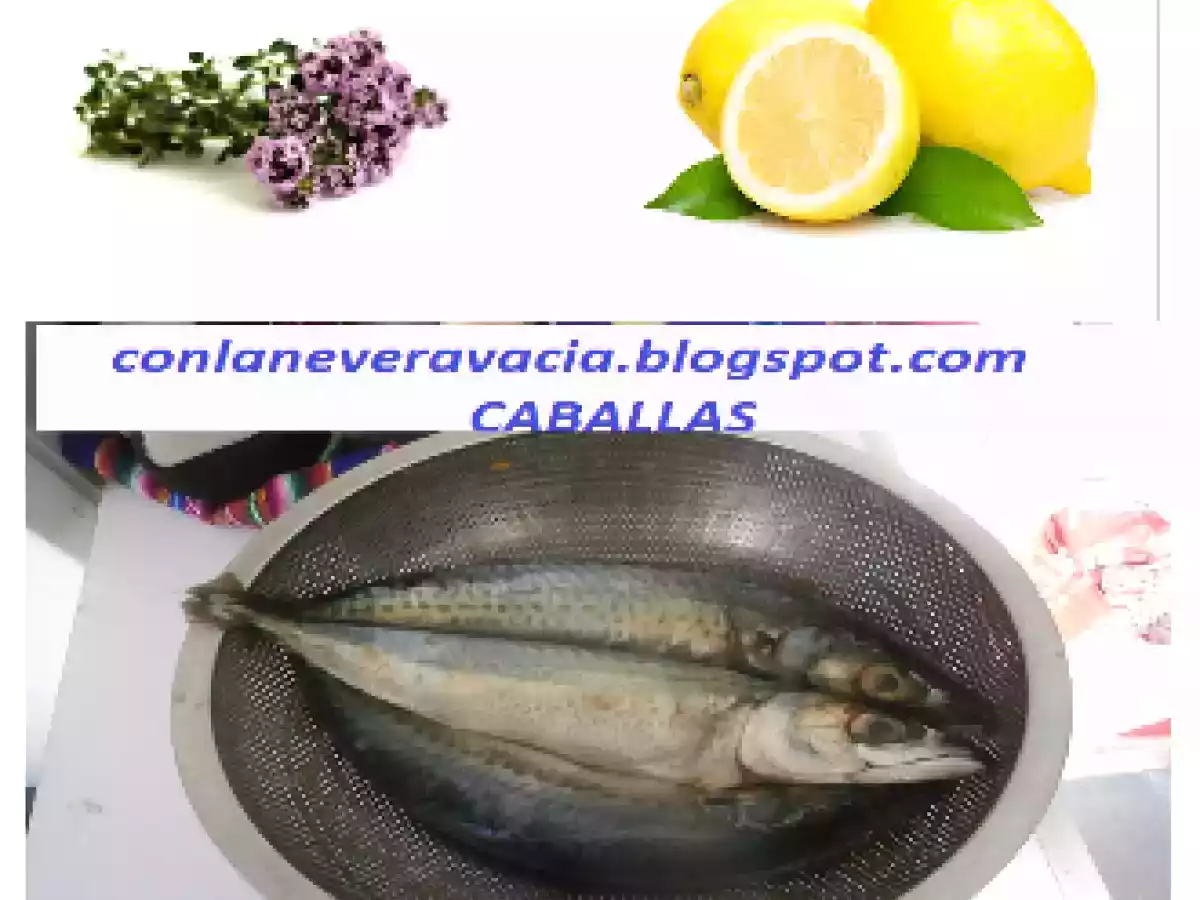 Caballas a la sal - foto 3