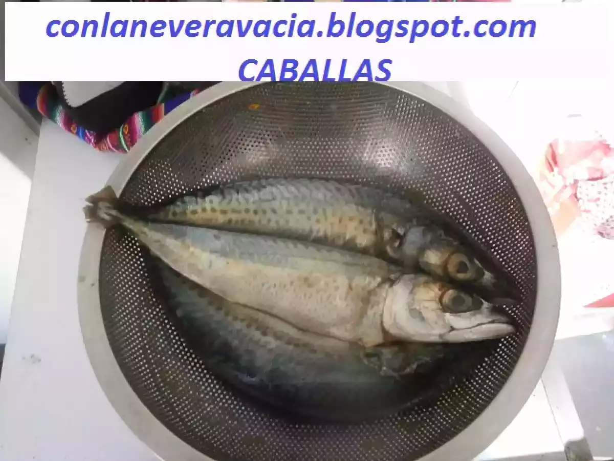 Caballas a la sal - foto 4