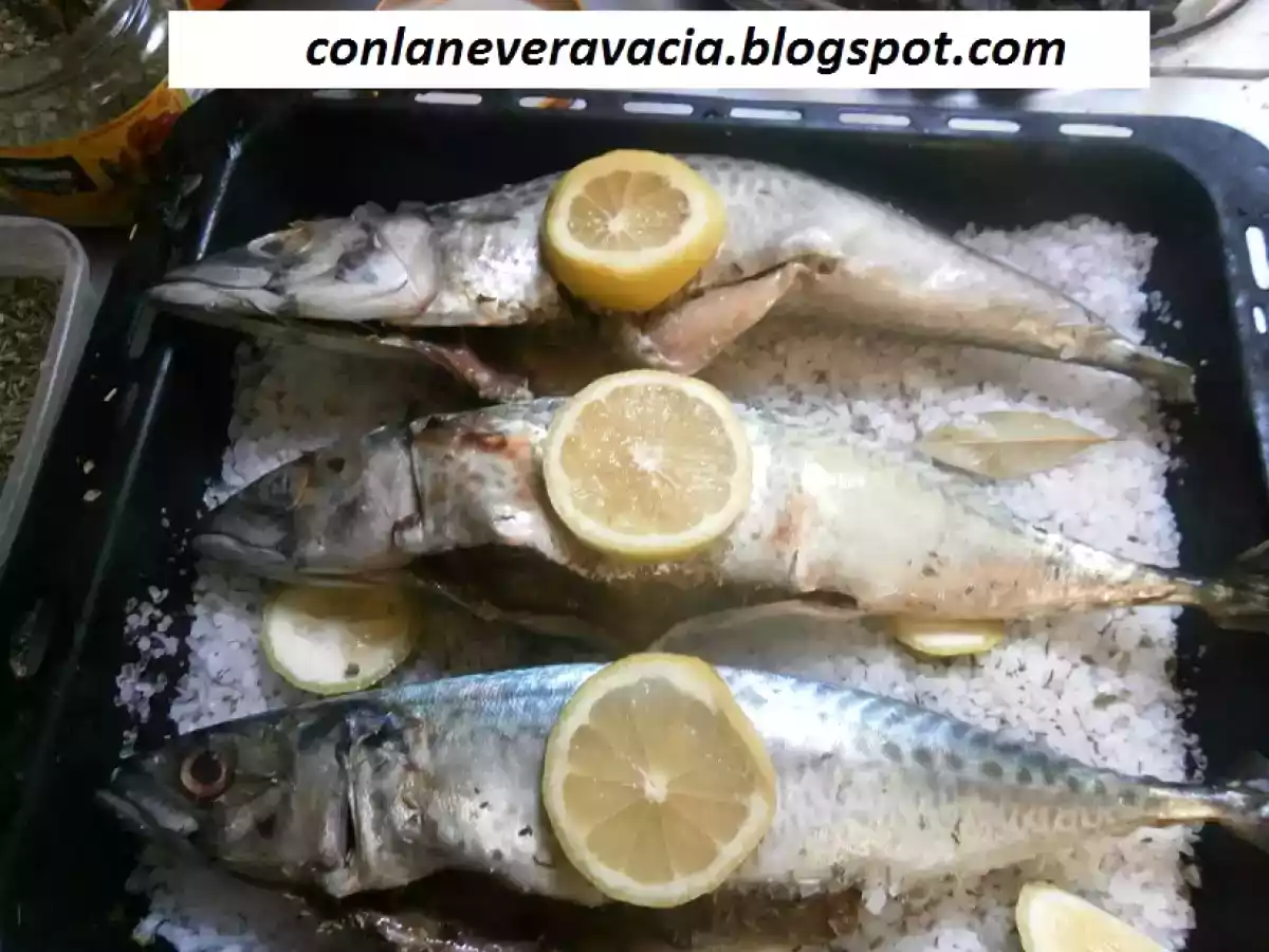 Caballas a la sal - foto 5