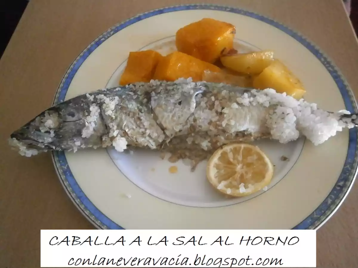 Caballas a la sal - foto 8