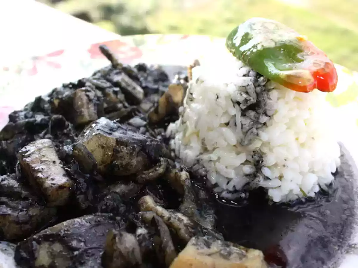 Cachón (SEPIA, CHOCO...) en su tinta con compañia