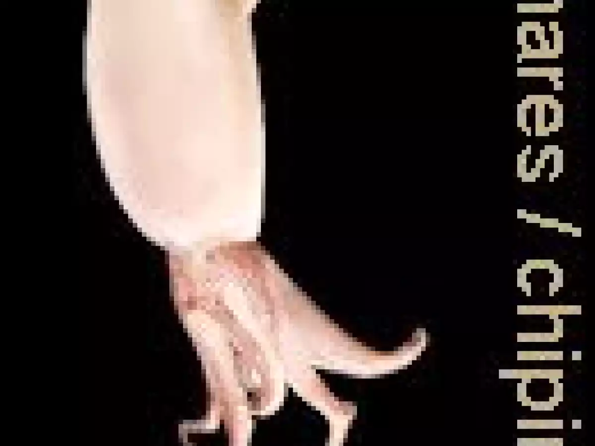 Calamar relleno al horno - foto 6