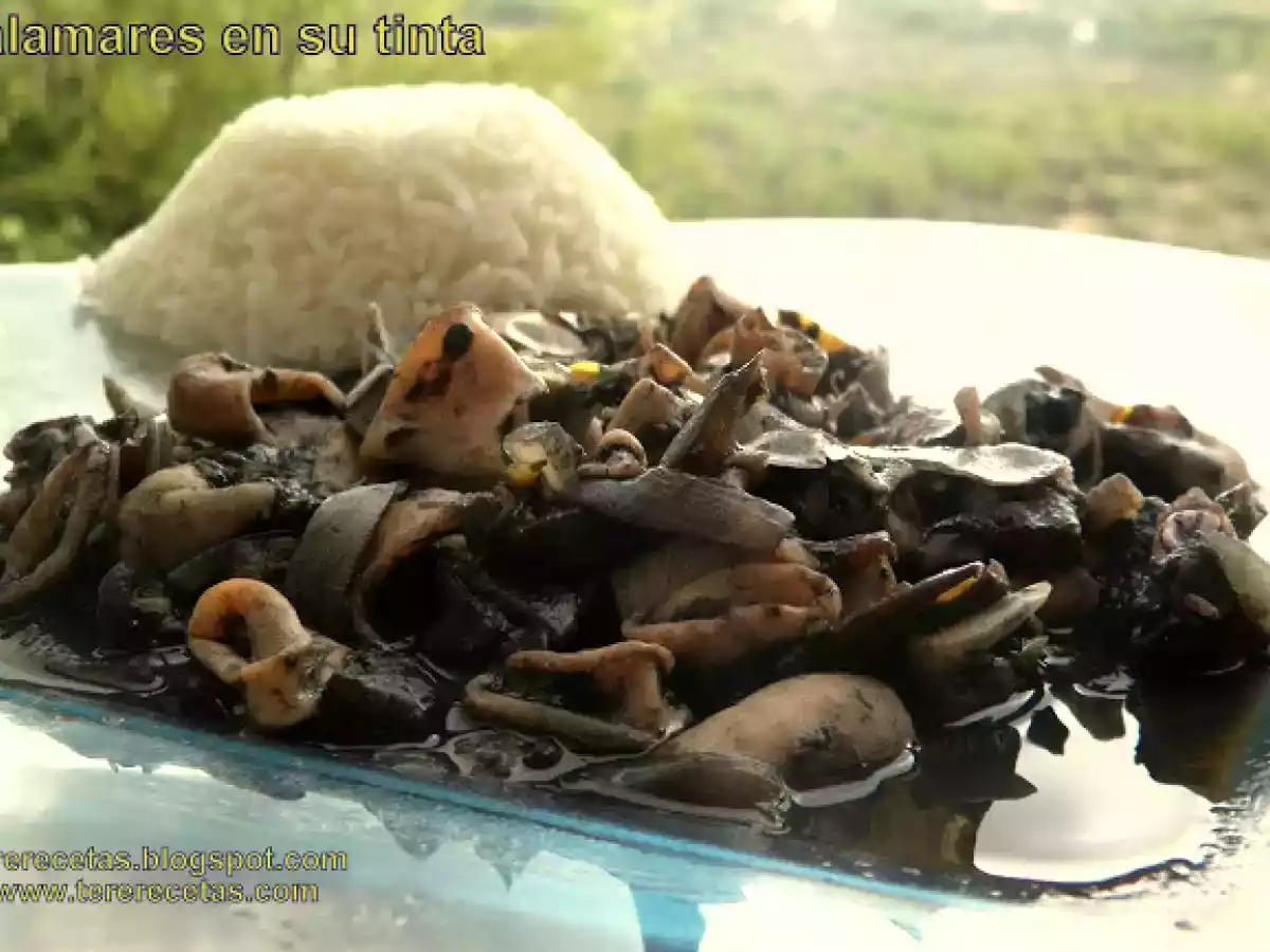 Calamares en su tinta