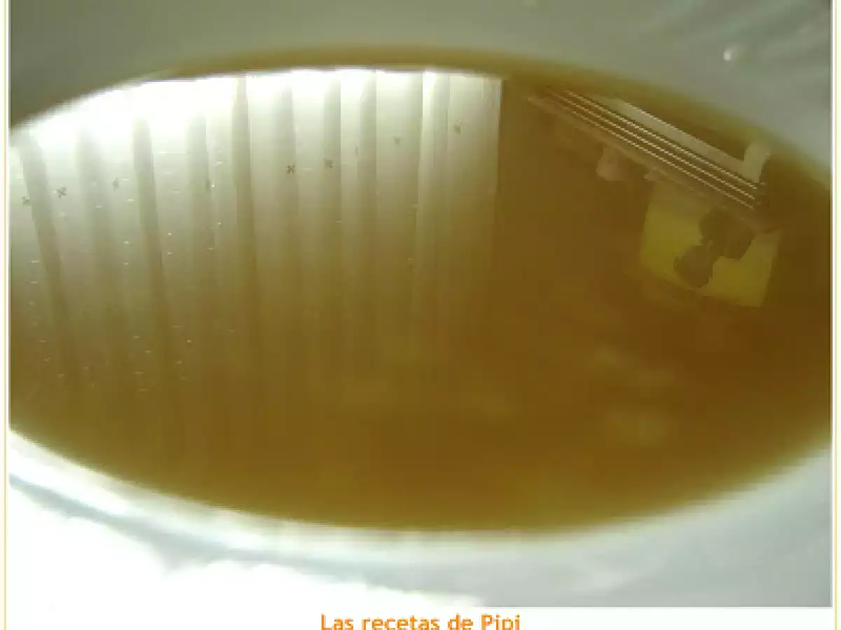 Caldo base thermomix