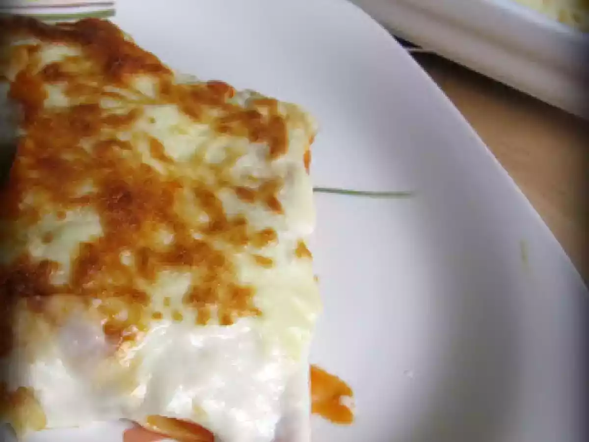 Canelónes de Atún (fussioncook y tradicional) - foto 2