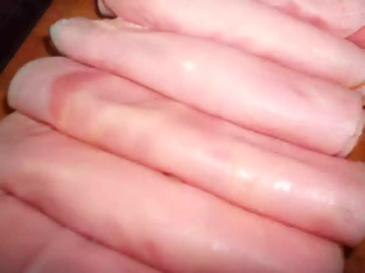 Canelones de jamon cocido - foto 4