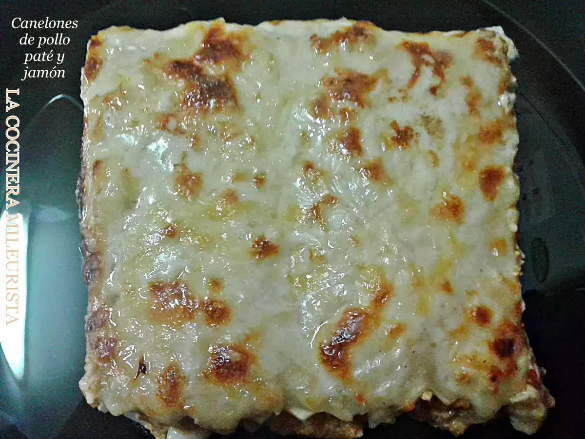 Canelones de pollo paté y jamón - foto 2