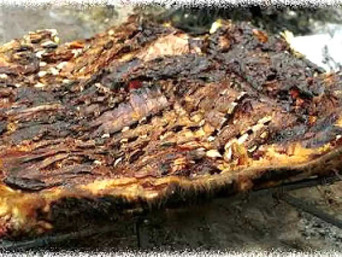 Carne asada en cuero o a la perra - meta