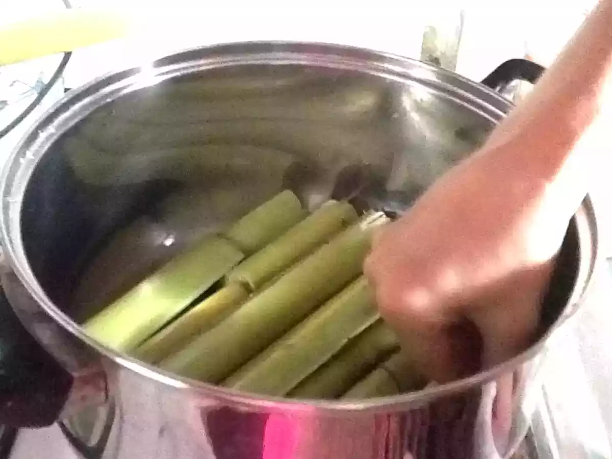 CARNE EN BAHO - foto 3