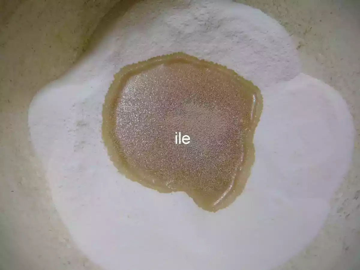 Carta de musica o musico - Pan crocante italiano - foto 6