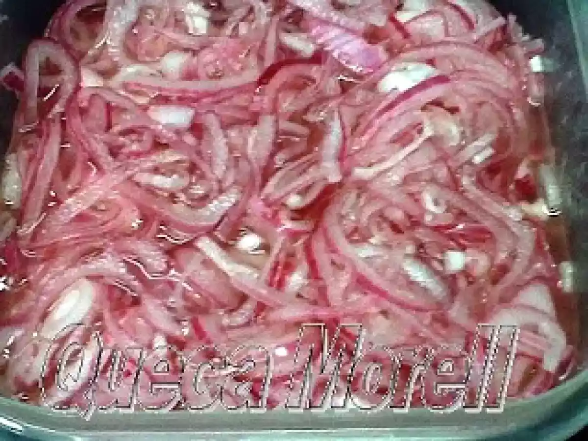 CEBOLLA ROJA DE GUAYONJE ENCURTIDA. - foto 3