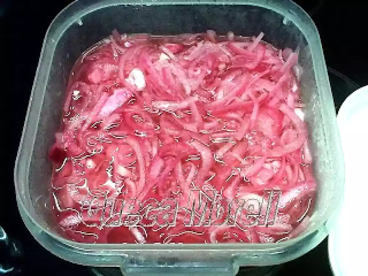 CEBOLLA ROJA DE GUAYONJE ENCURTIDA. - foto 4