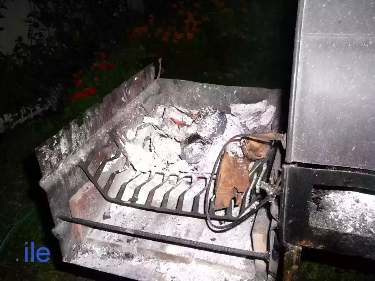 Cebollas al rescoldo - foto 6