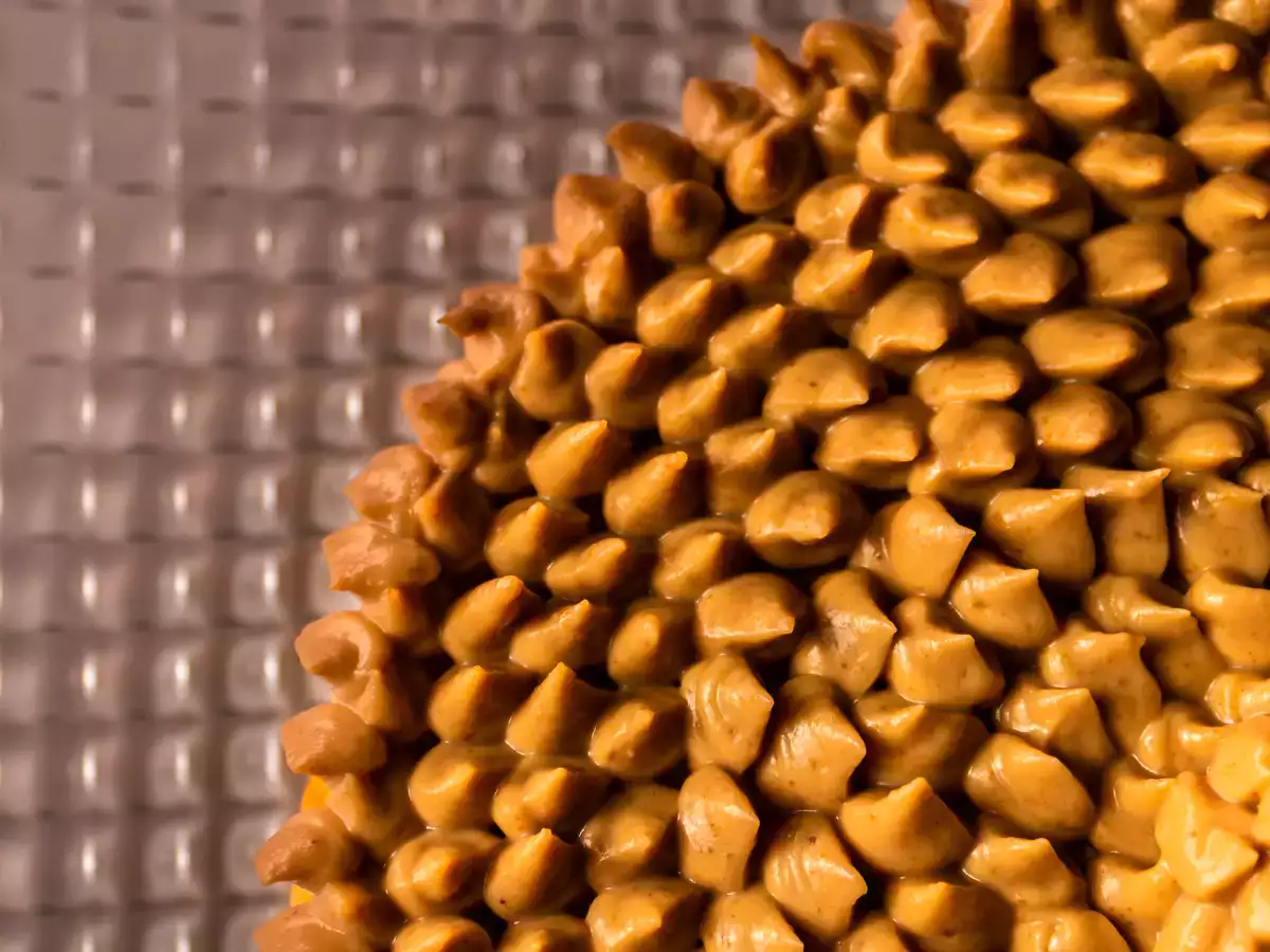 Cheesecake de calabaza y peanut butter - foto 2