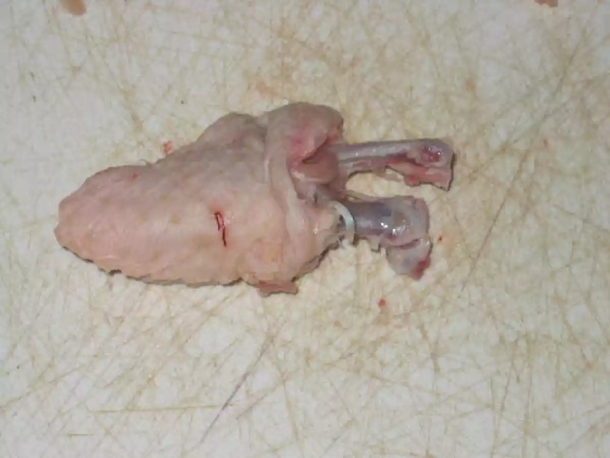 Chupa chups de pollo - foto 2