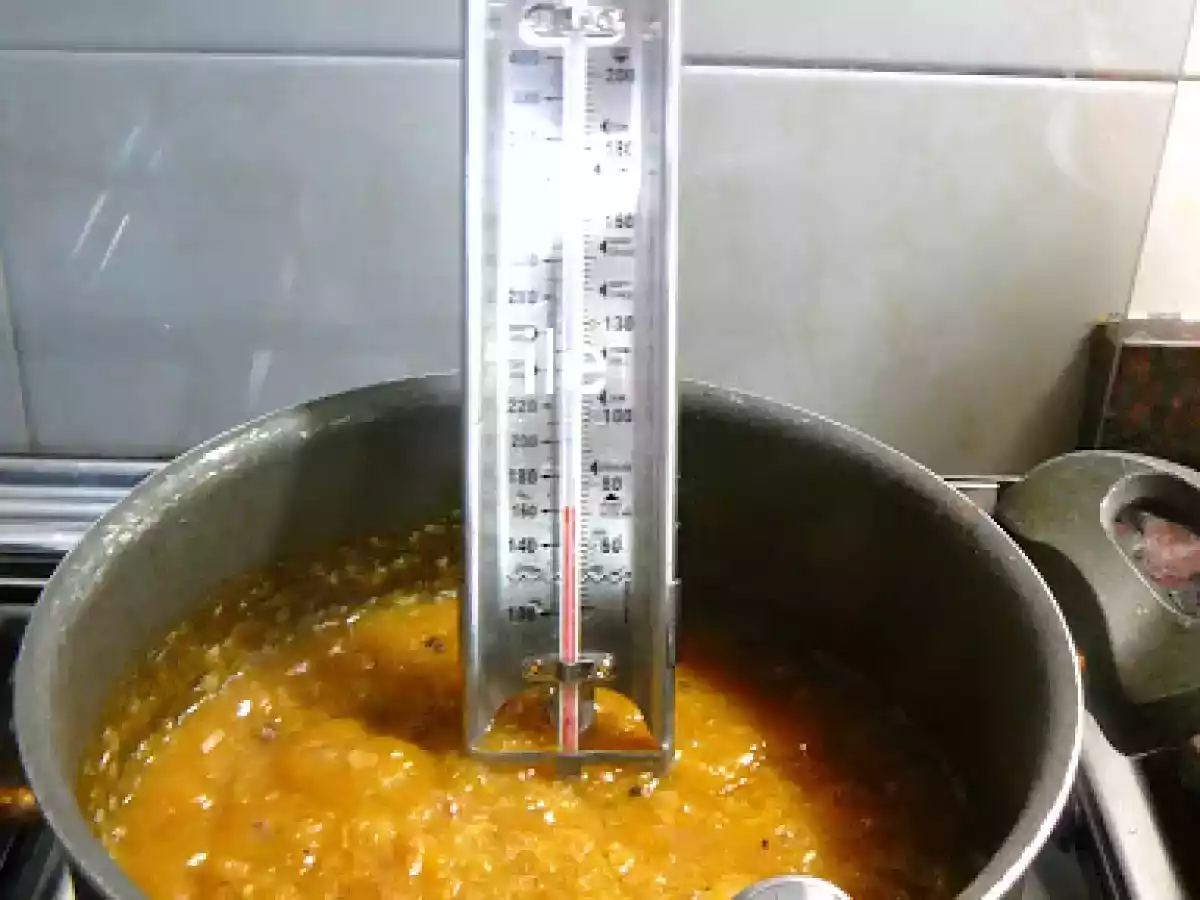 CHUTNEY DE DAMASCOS O ALBARICOQUES - foto 11