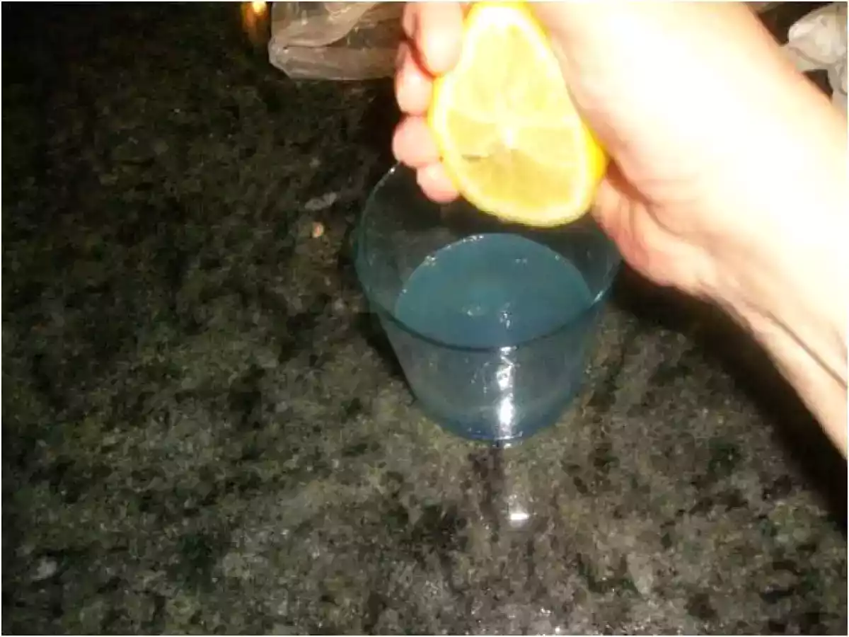 COCHINILLO ASADO - foto 7