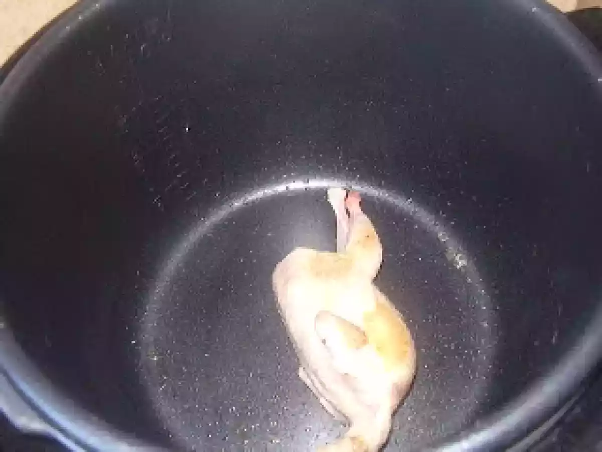 CODORNIZ TRIGUISAR EN CROCKPOT - foto 6