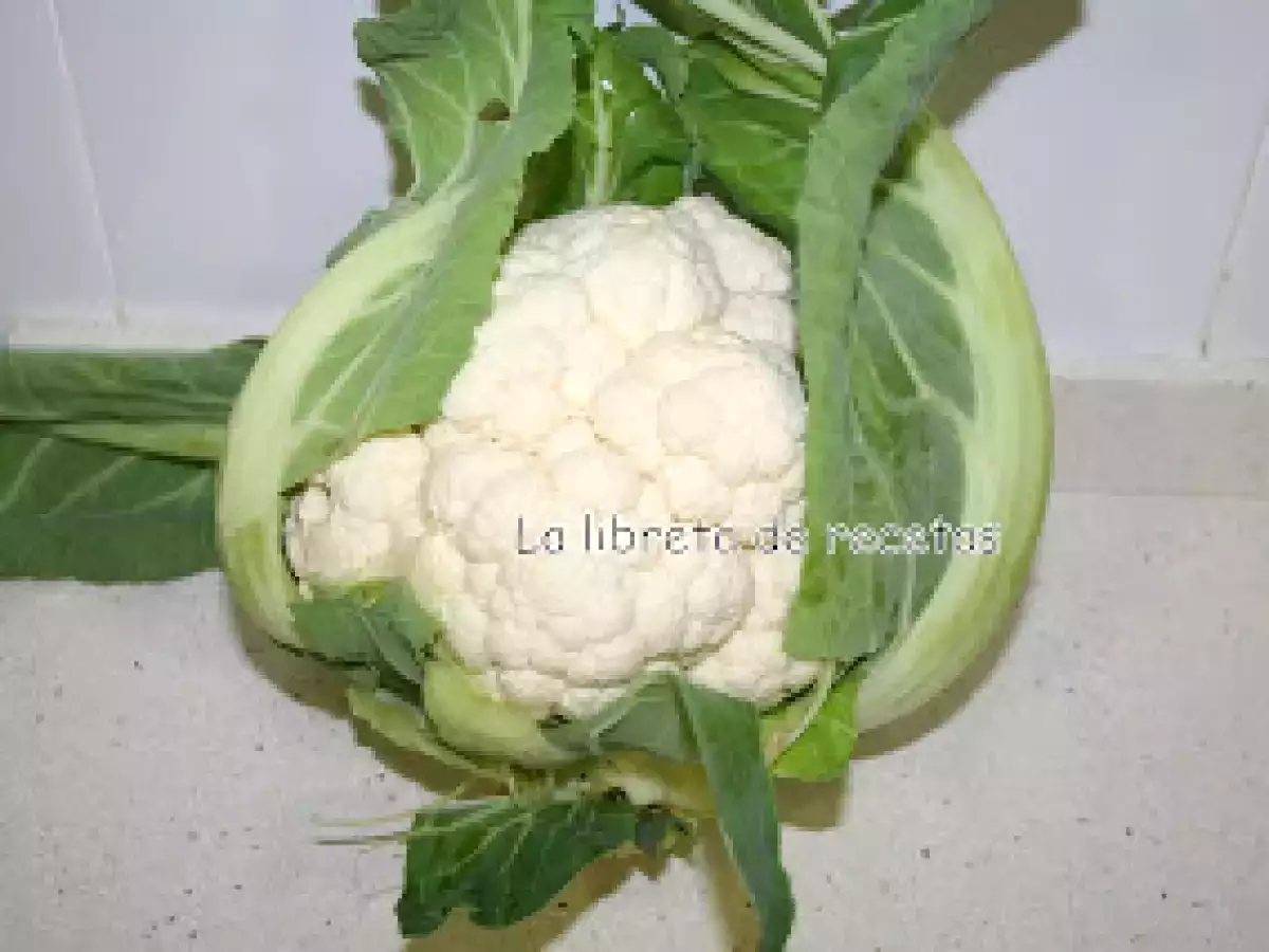 Col con salsa de mostaza - foto 2