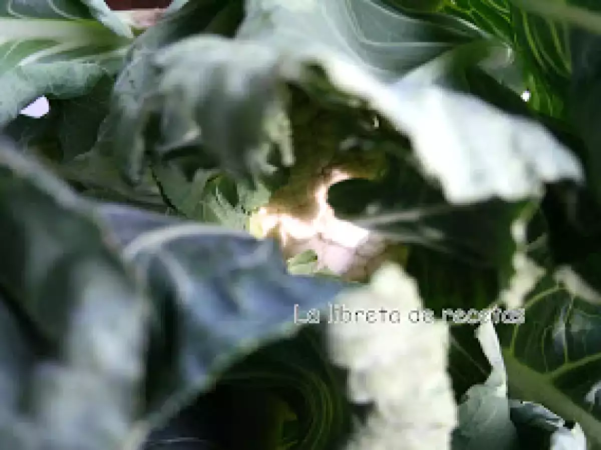 Col con salsa de mostaza - foto 3