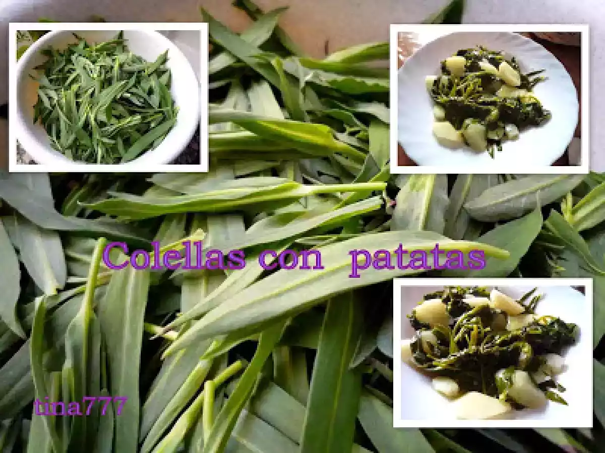 Colellas o collejas con patata - foto 2