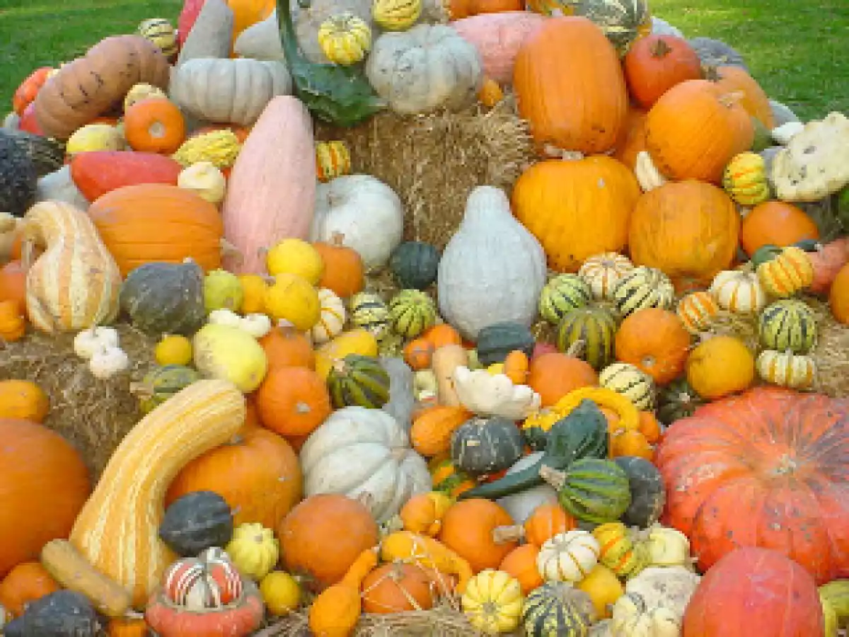 Comidas para Celebrar el Halloween - Fiestas para Adultos