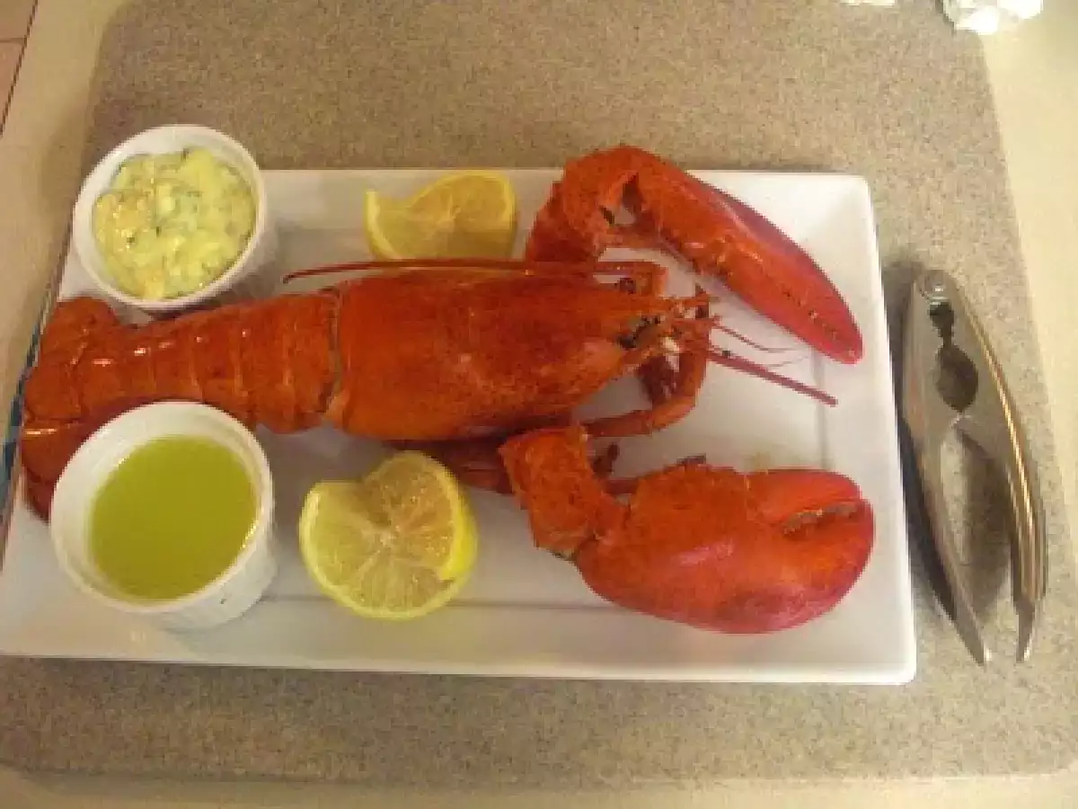 Como Cocinar Langosta...Lobster - foto 6