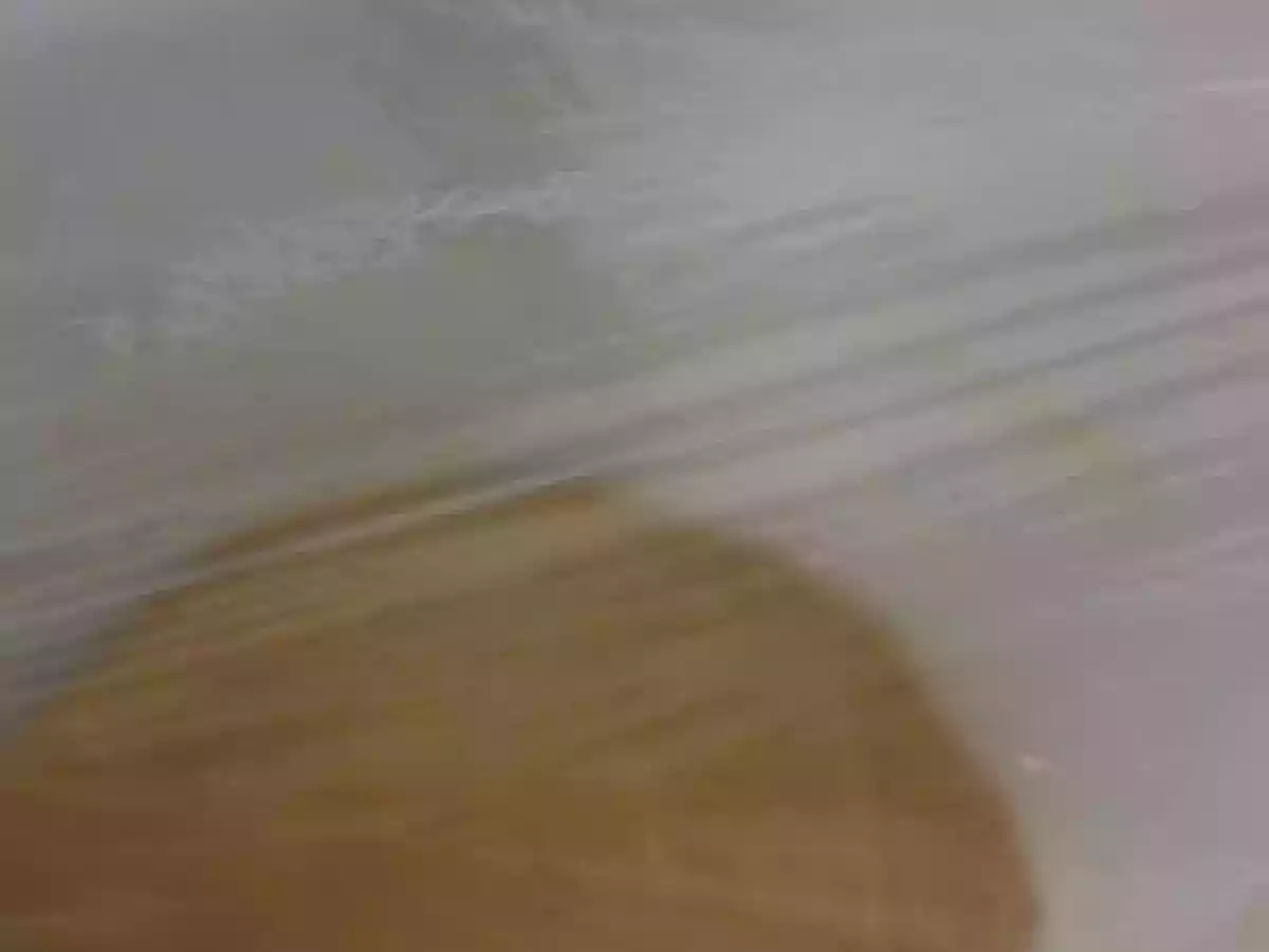 Conchas mexicanas - Brioche de Christophe Krywonis - foto 11