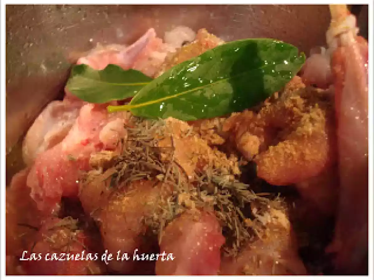 Conejo en salsa en3 pasos con Thermomix y congreso a la vista!! - foto 3