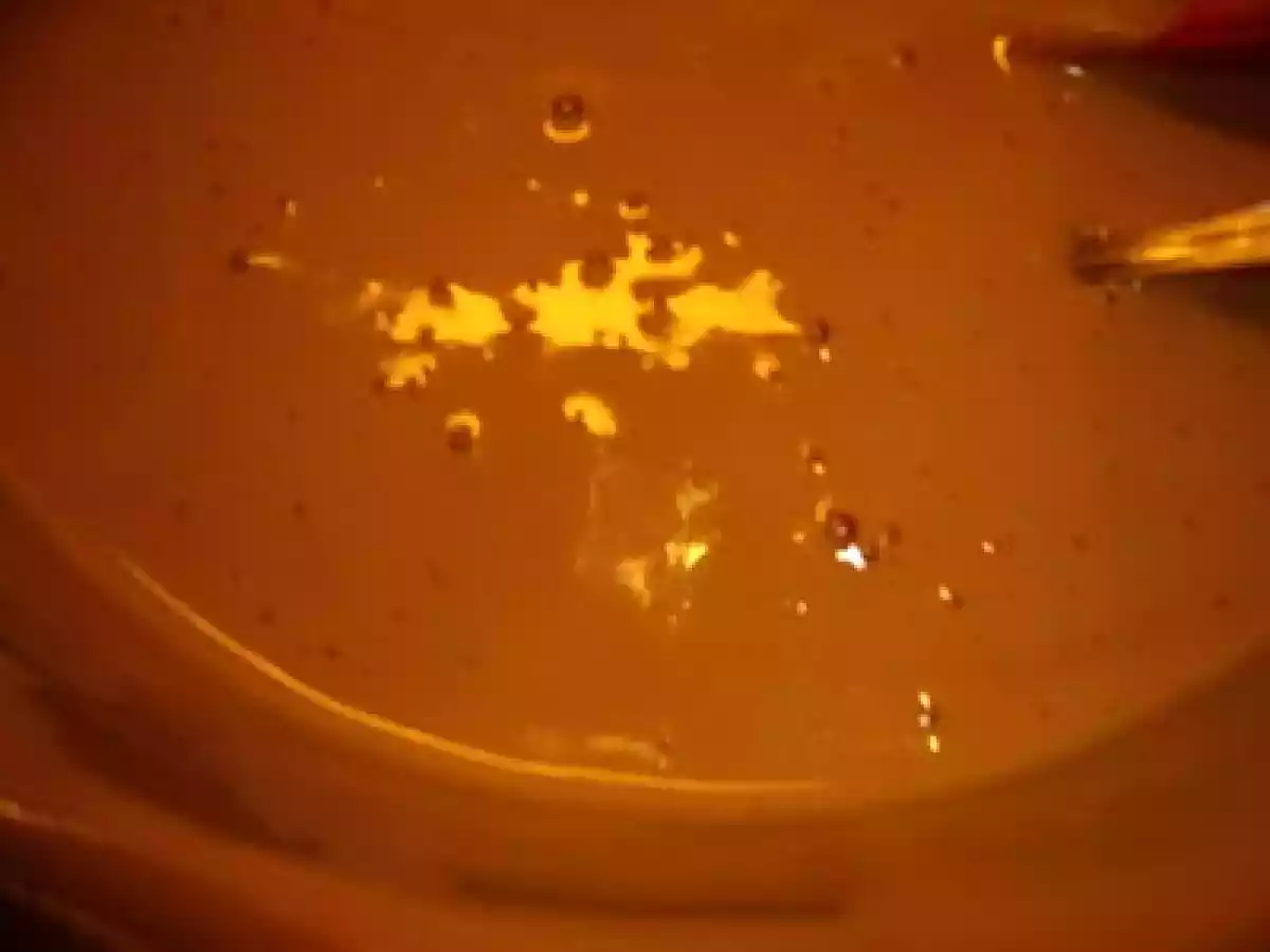 COPA DE BABA DE CAMELLO (CAMELO ) PORTUGUÉS - foto 2